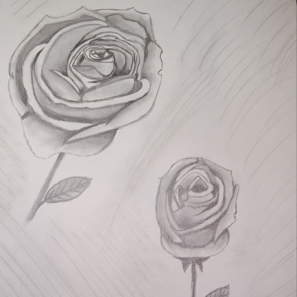 Framed Rose Sketch-Hand Drawn Roses-Pencil - Picture 6 of 8